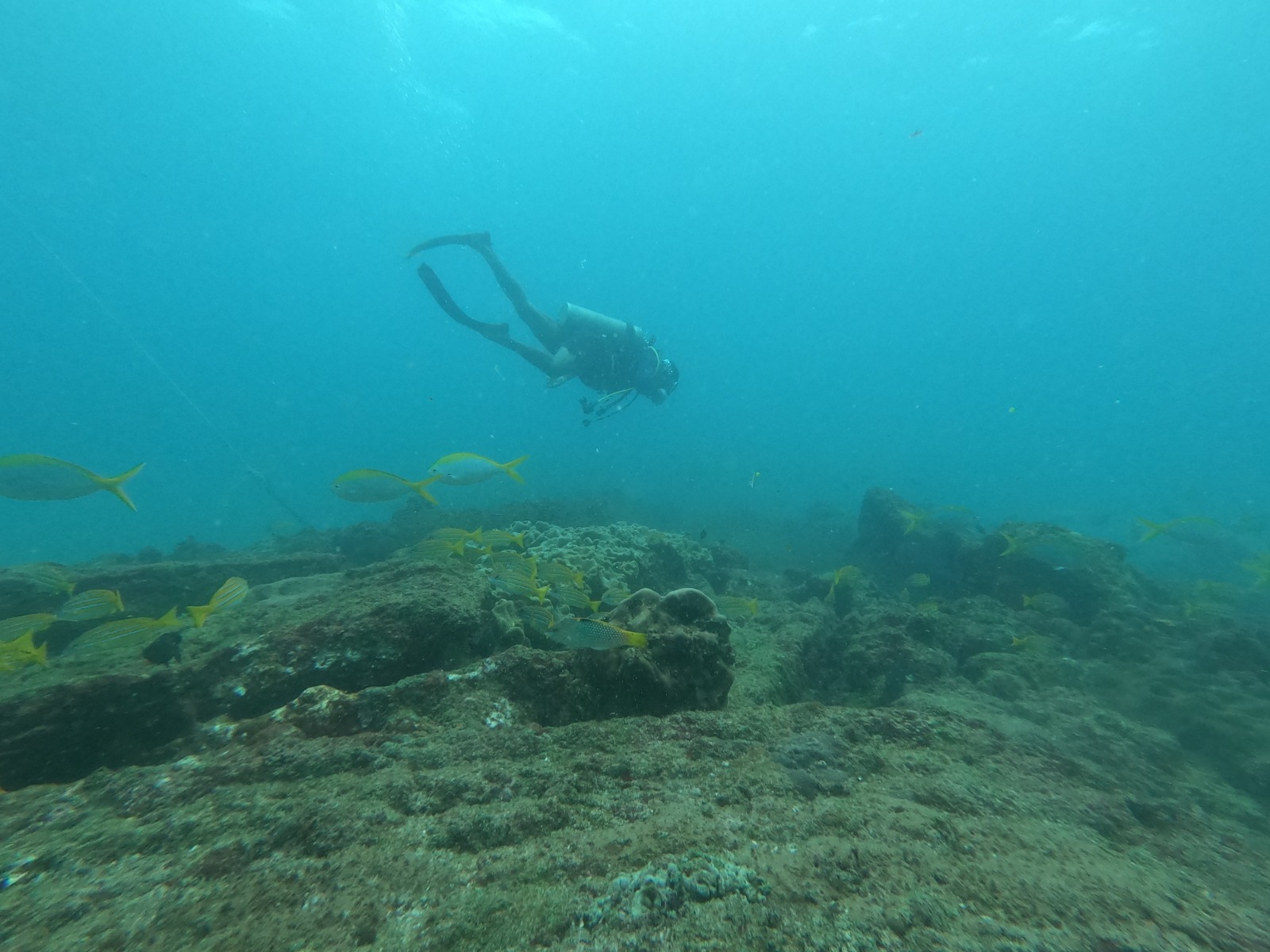 WhatsApp Image 2024-06-20 at 09.31.55_618c9475