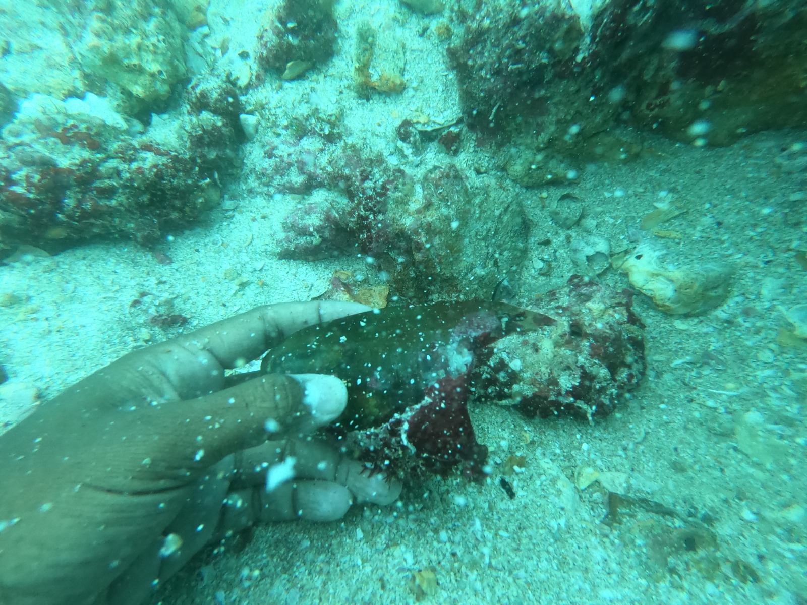 WhatsApp Image 2024-06-20 at 09.31.56_02430c1d