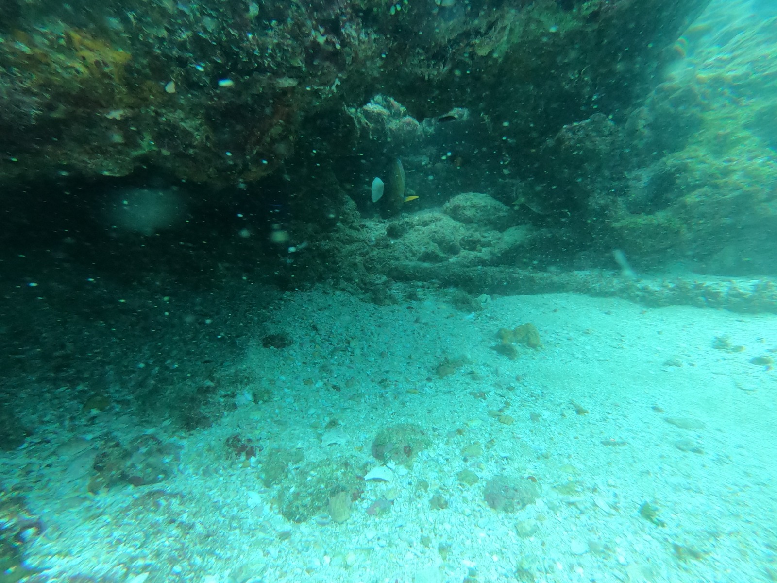 WhatsApp Image 2024-06-20 at 09.31.56_d9f0b12c