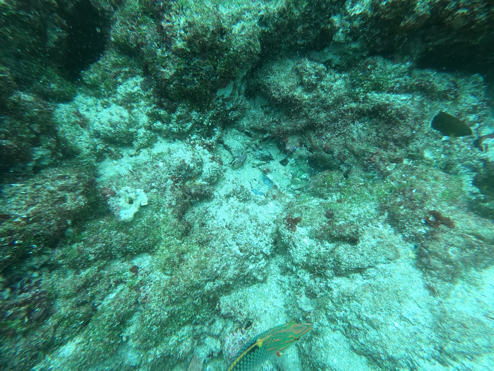 WhatsApp Image 2024-06-20 at 09.31.57_6bf8b830