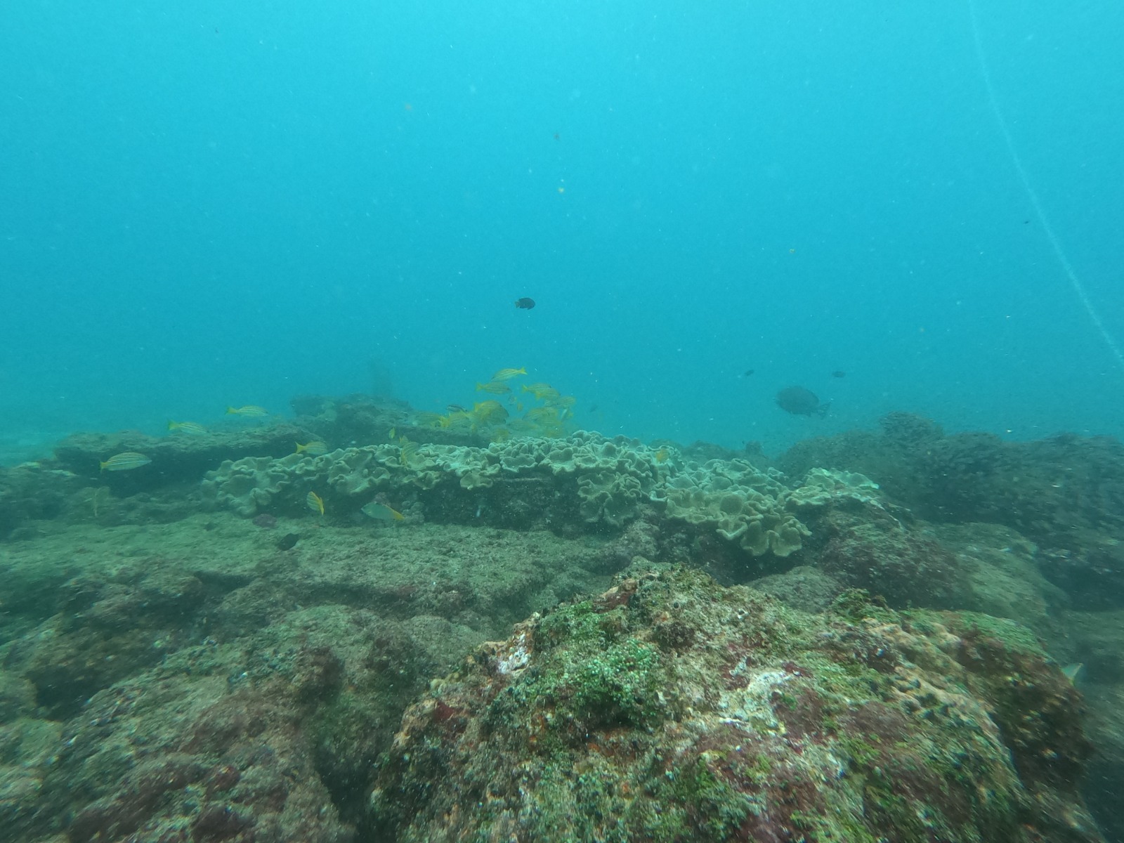 WhatsApp Image 2024-06-20 at 09.31.57_6f6eec1a