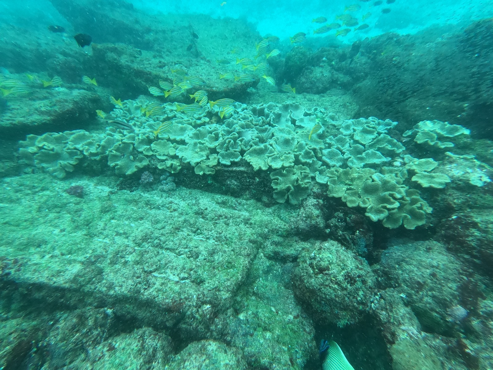 WhatsApp Image 2024-06-20 at 09.31.58_5d12630f