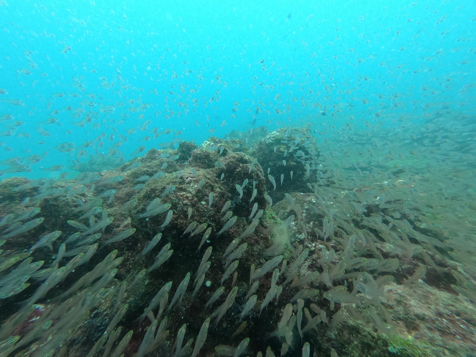 WhatsApp Image 2024-06-20 at 09.31.59_1aa883dc