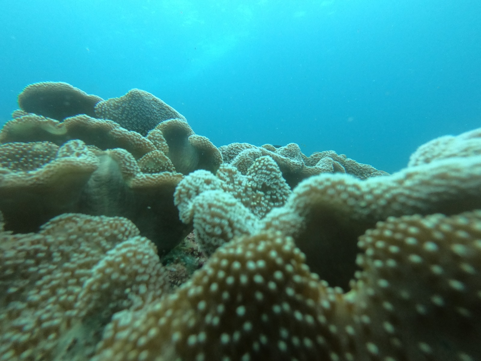 WhatsApp Image 2024-06-20 at 09.32.00_10dedc45