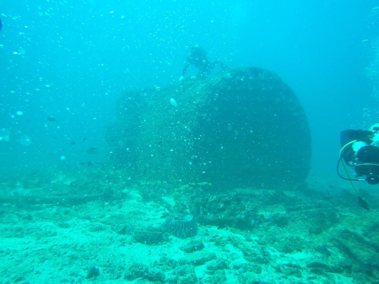 WhatsApp Image 2024-06-20 at 09.32.00_acab5225