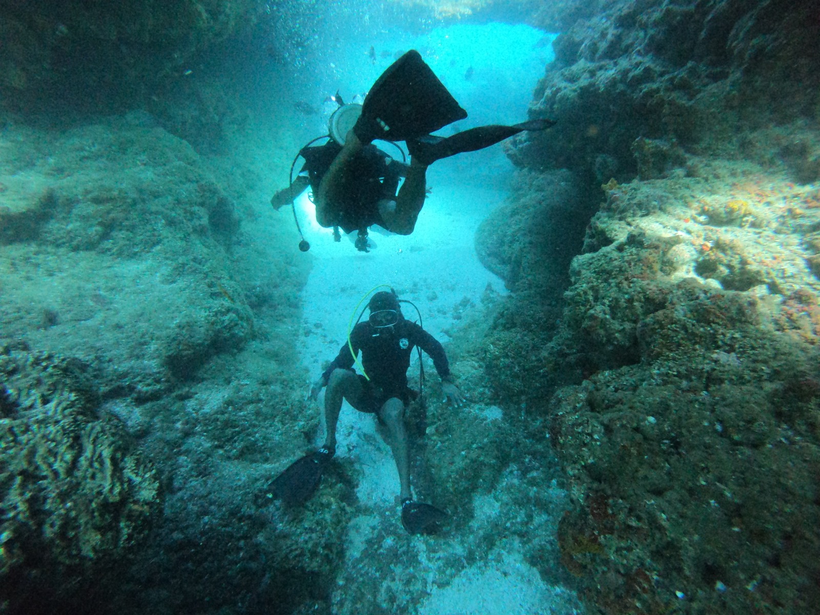 WhatsApp Image 2024-06-20 at 09.32.01_2ded2f50