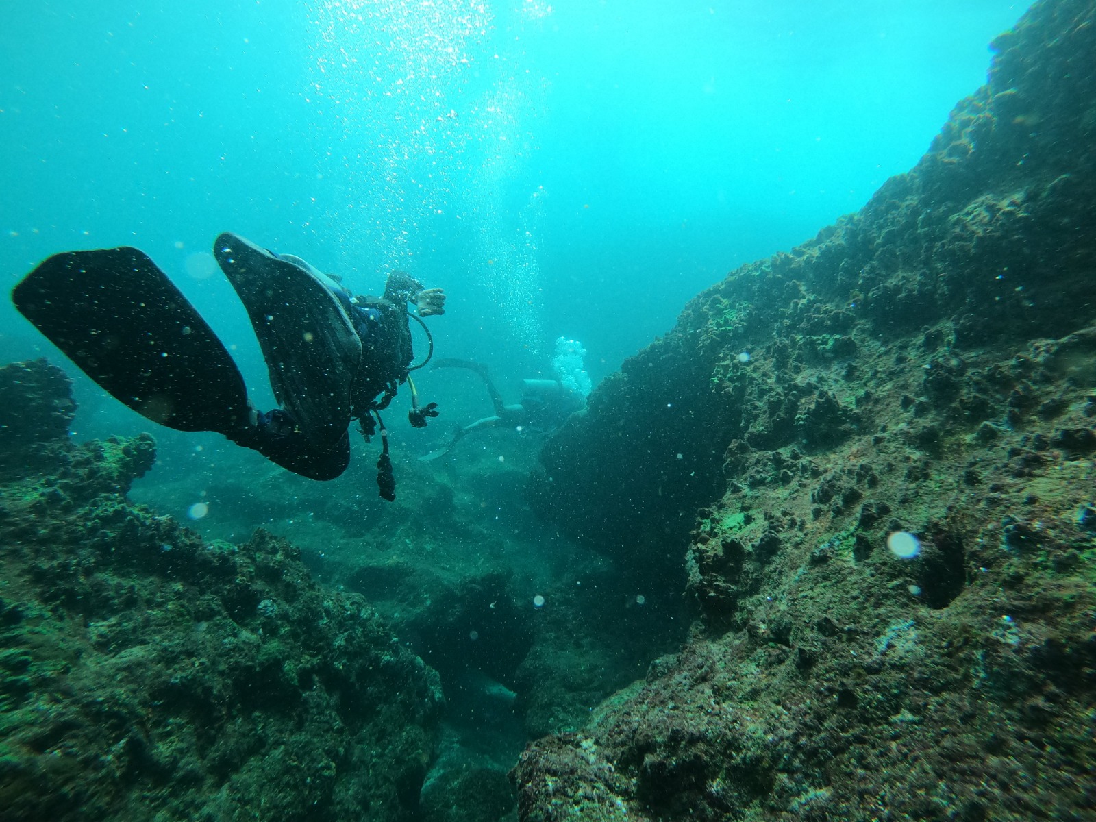 WhatsApp Image 2024-06-20 at 09.32.01_bc939409