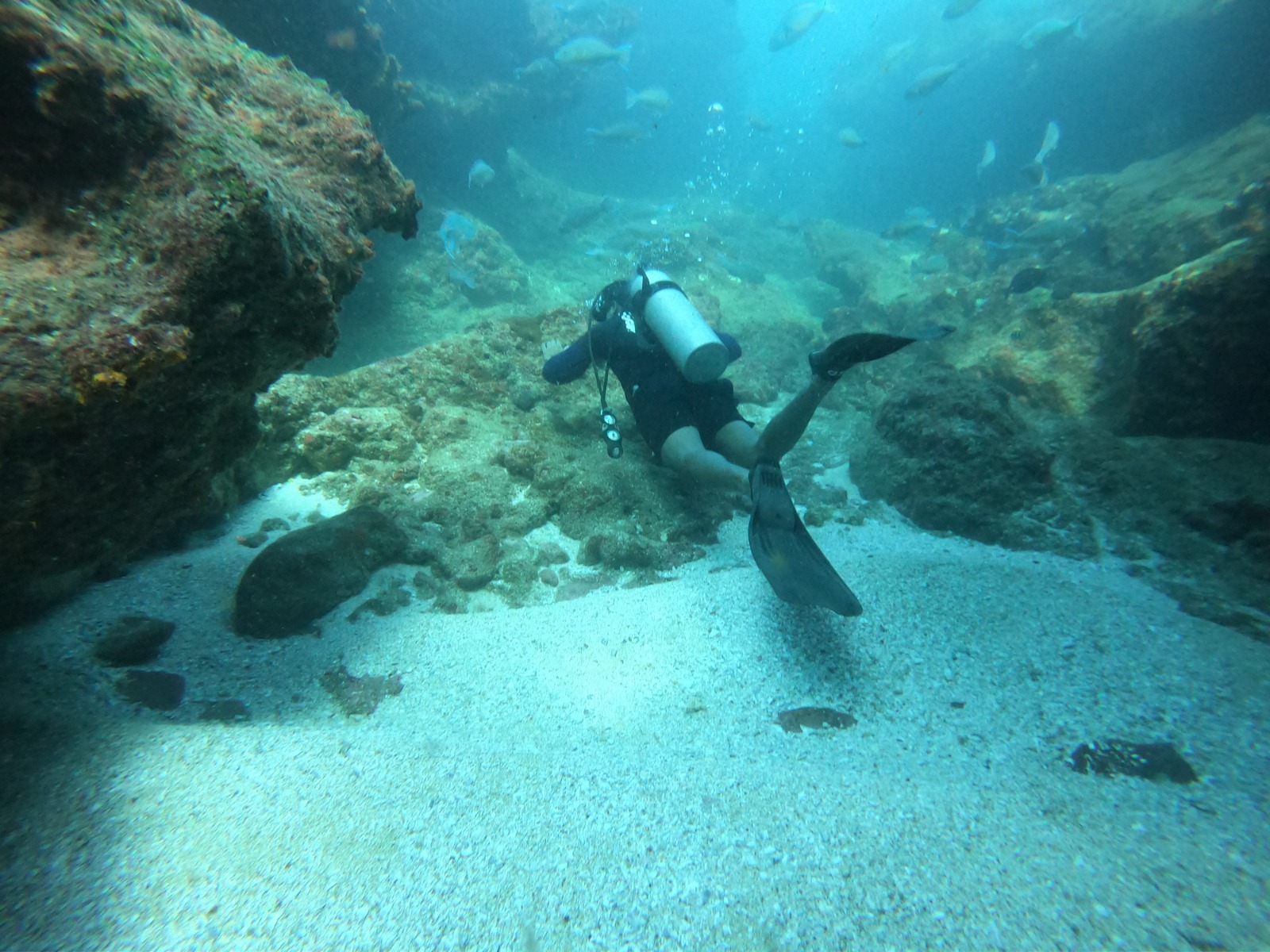 WhatsApp Image 2024-06-20 at 09.32.02_3bcbafeb