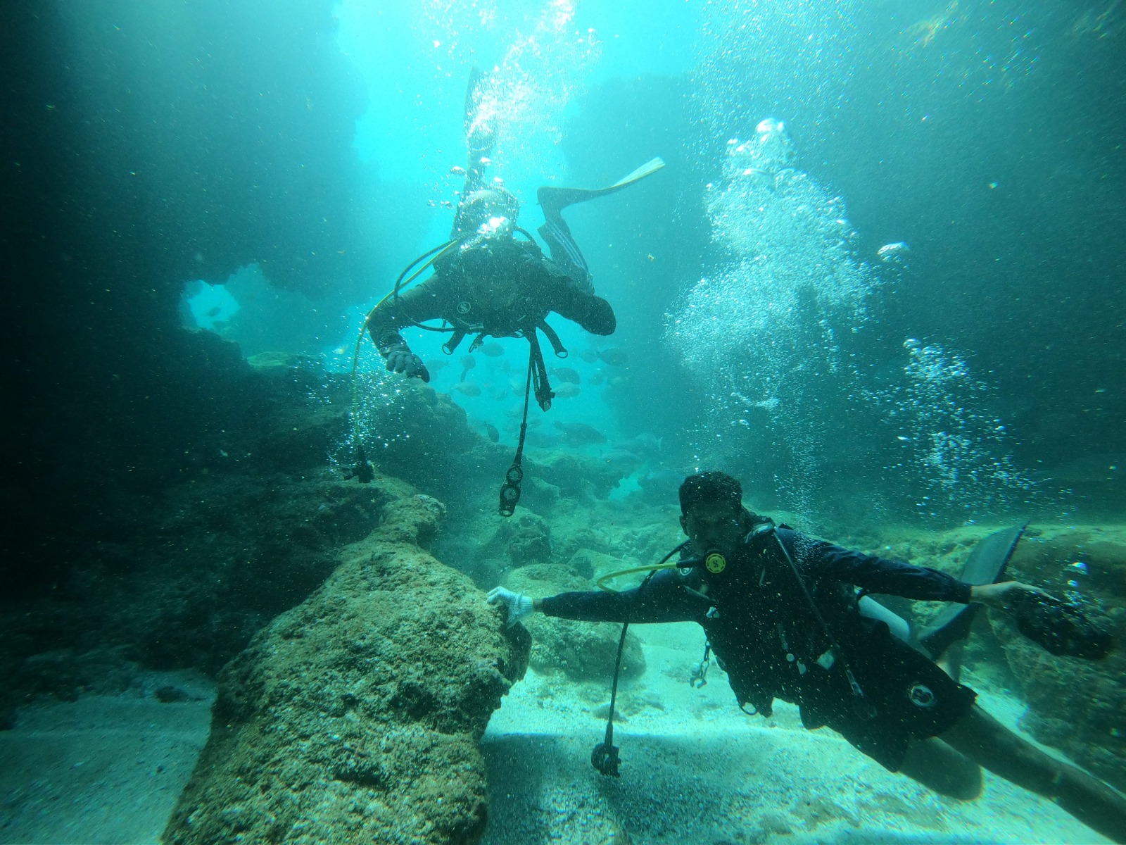 WhatsApp Image 2024-06-20 at 09.32.02_b3e5e926