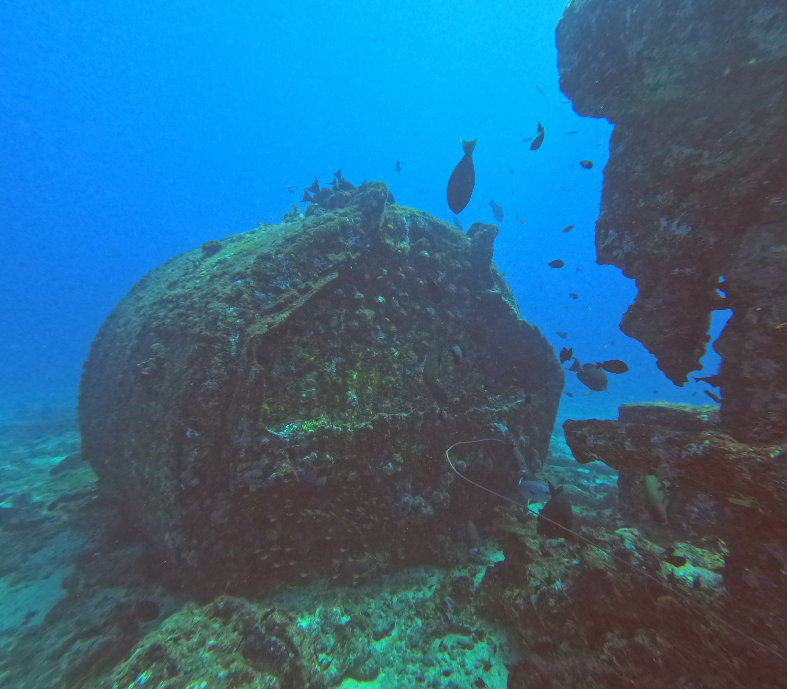 WhatsApp Image 2024-06-20 at 09.32.03_3f7115bf