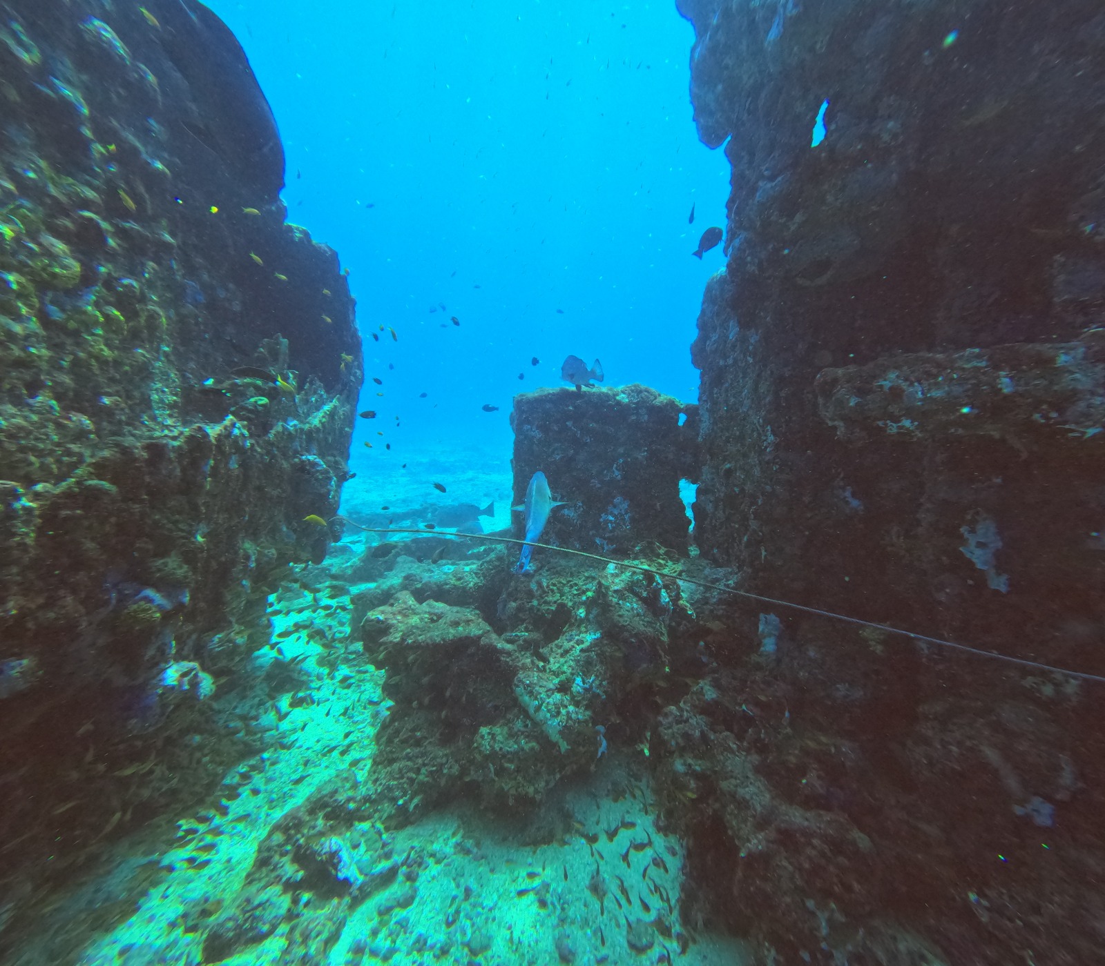 WhatsApp Image 2024-06-20 at 09.32.03_fd847259