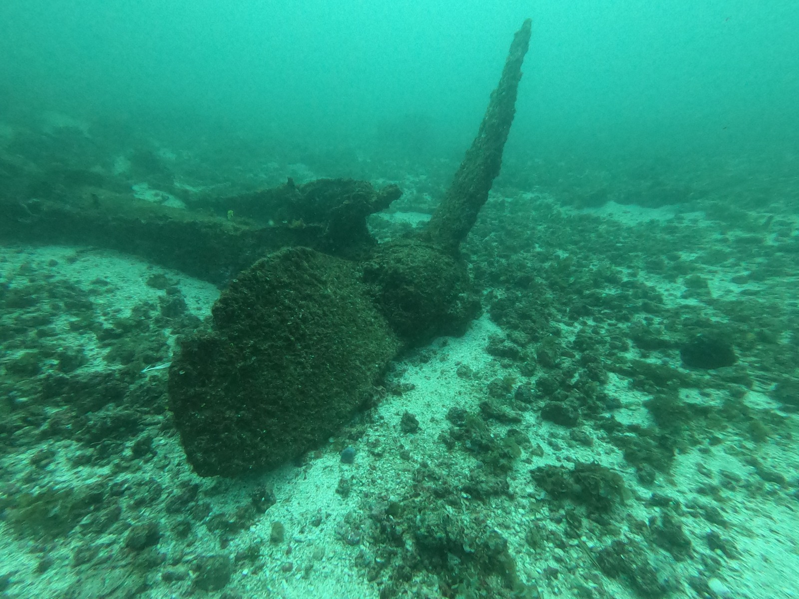 WhatsApp Image 2024-06-20 at 09.32.04_212c6808