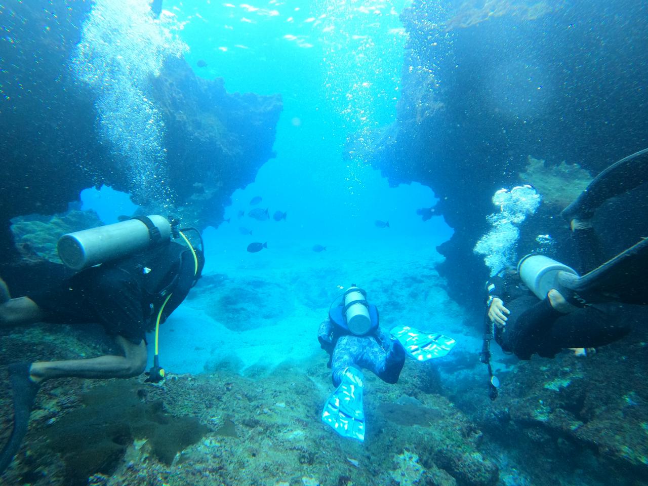 WhatsApp Image 2024-06-20 at 09.32.06_2414684e