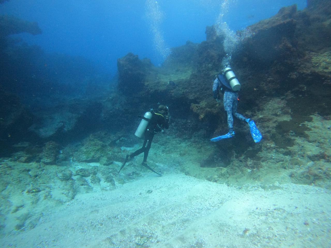 WhatsApp Image 2024-06-20 at 09.32.06_5e1f68dd