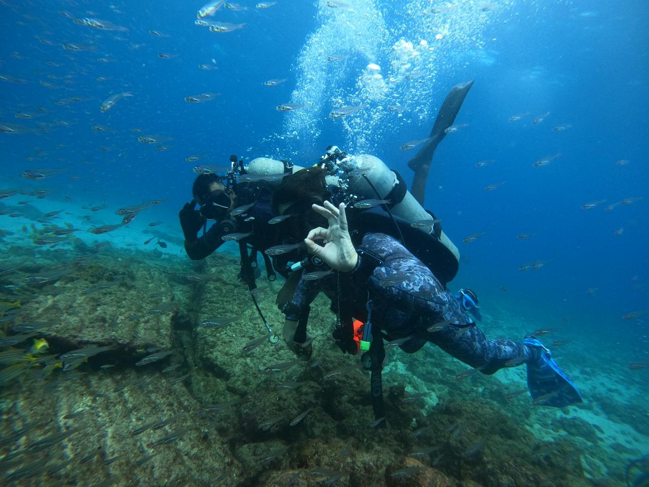 WhatsApp Image 2024-06-20 at 09.32.08_b6f6f156