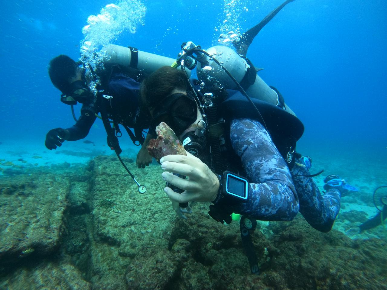 WhatsApp Image 2024-06-20 at 09.32.08_d388a376