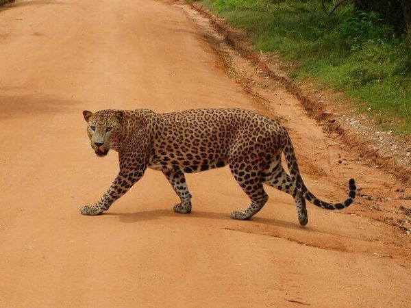 3421922f-323c-4155-952c-a2bdd0b64565