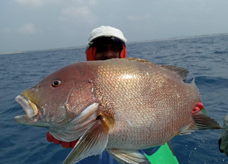 WhatsApp Image 2024-06-20 at 09.30.13_425c1a86