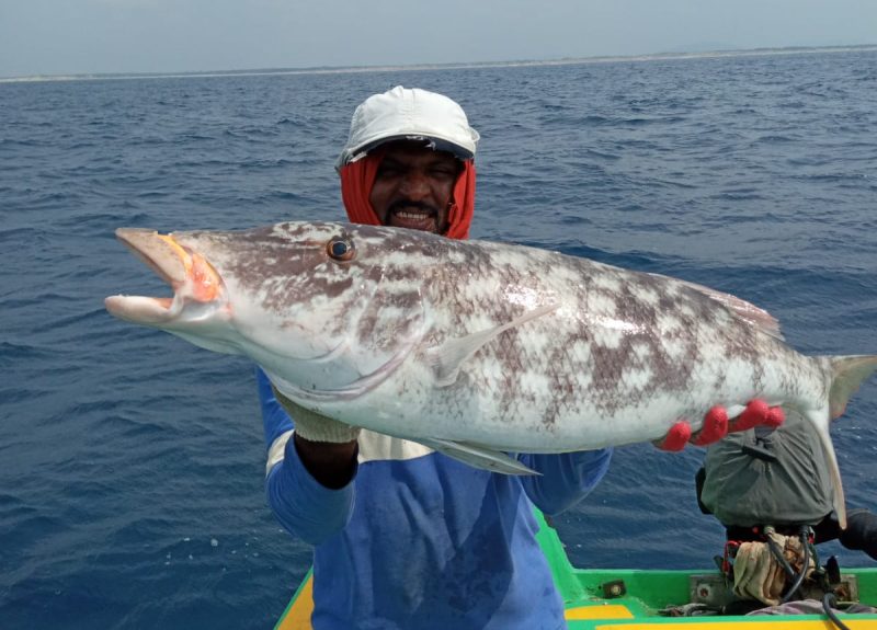 WhatsApp Image 2024-06-20 at 09.30.15_5f7ce27e